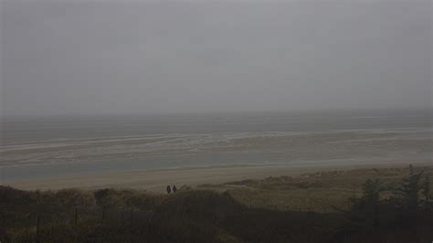 webcam blavand dänemark.